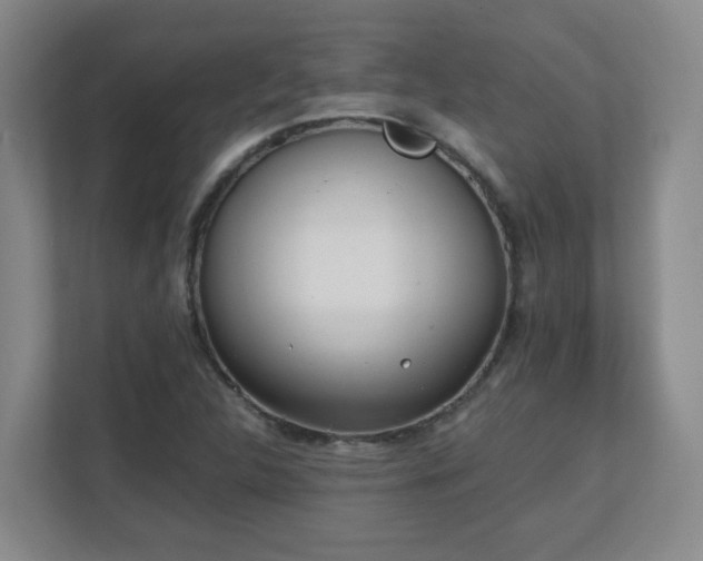 X0000111251312200907021423