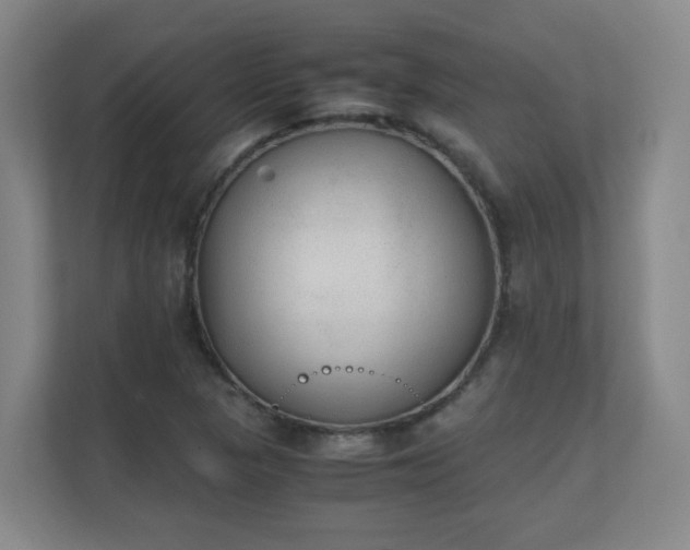 X0000111251313200907021423