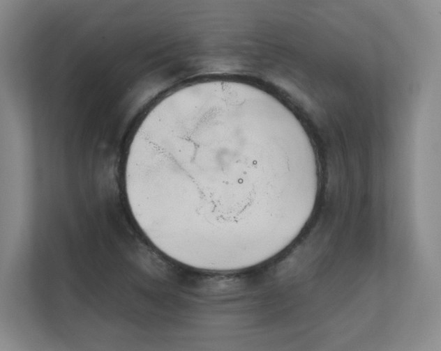 X0000111251314200907021423