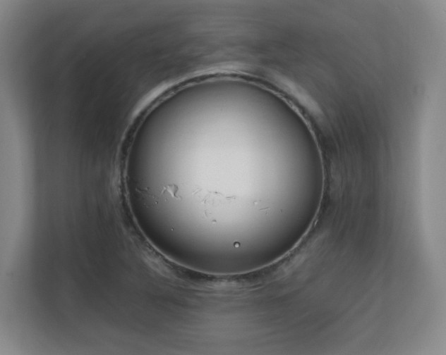 X0000111251316200907021423