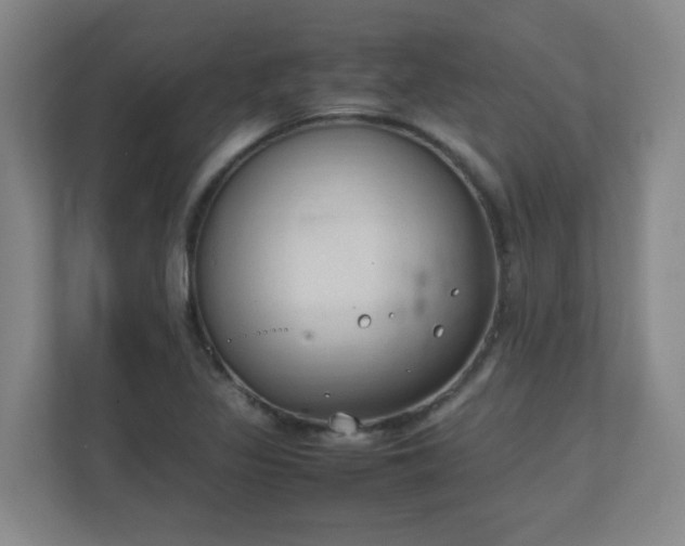 X0000111251317200907021423