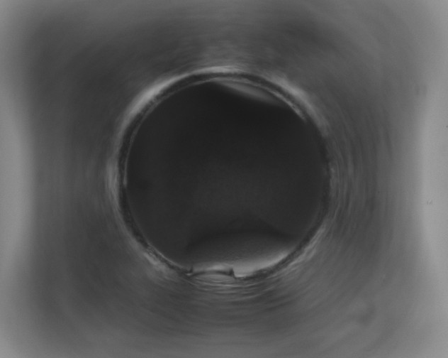 X0000111251319200907021423