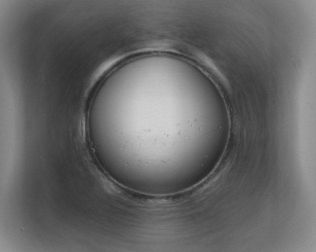 X0000111251320200907021423