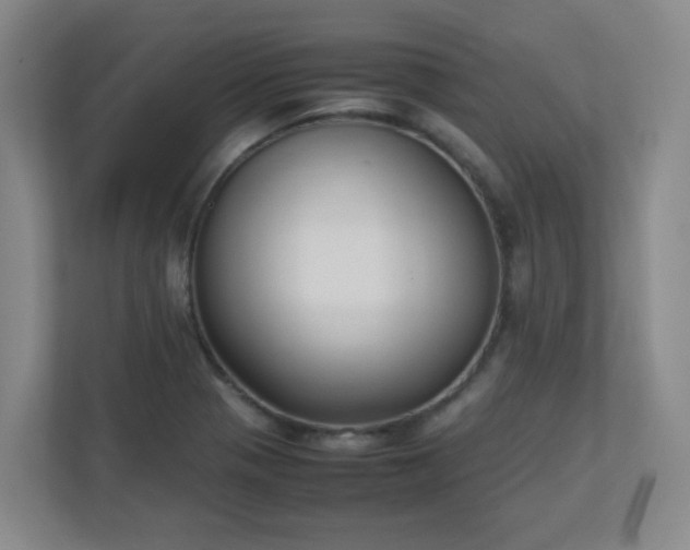X0000111251321200907021423