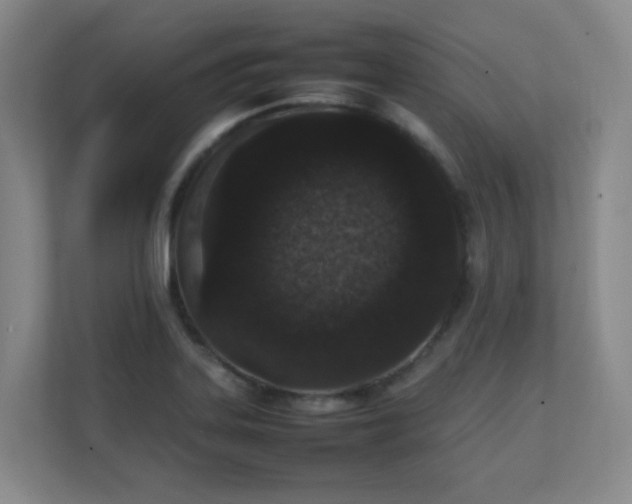 X0000111251323200907021423
