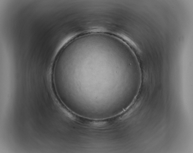 X0000111251325200907021423