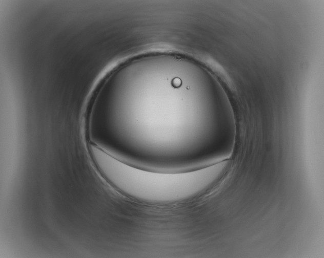 X0000111251326200907021423