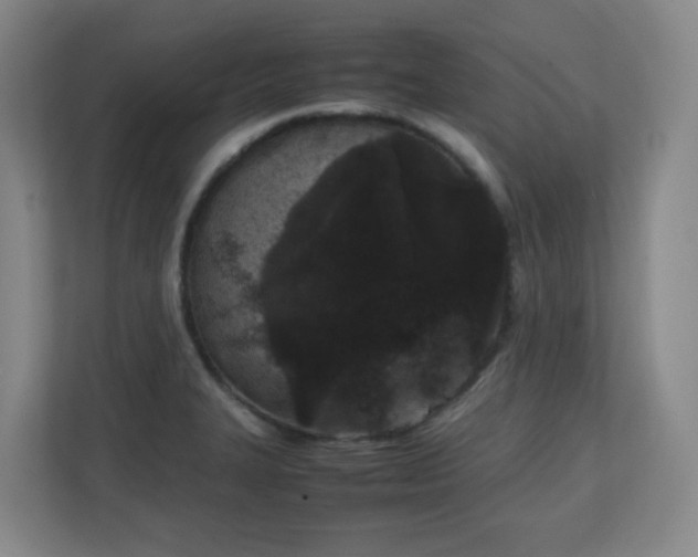 X0000111251327200907021423