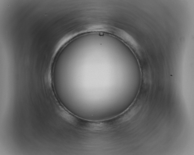 X0000111251328200907021423