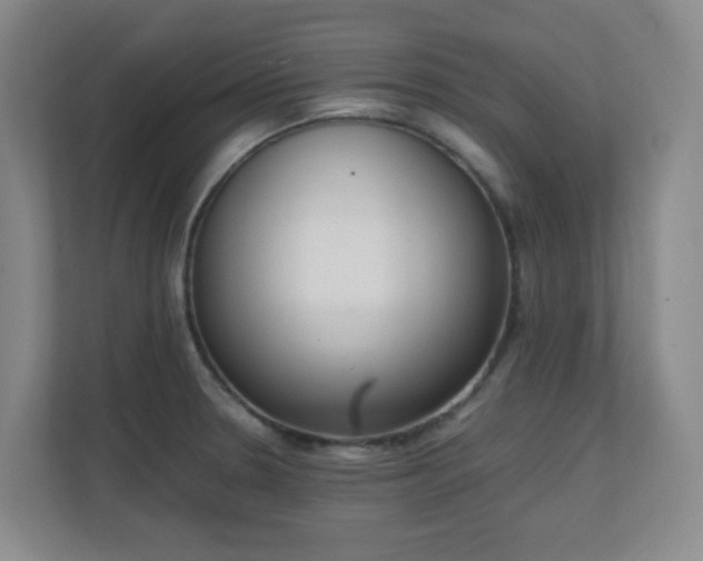 X0000111251330200907021423