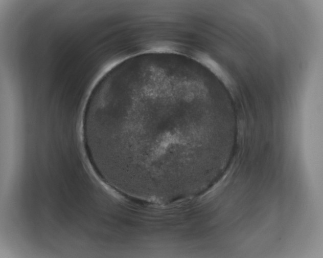 X0000111251331200907021423
