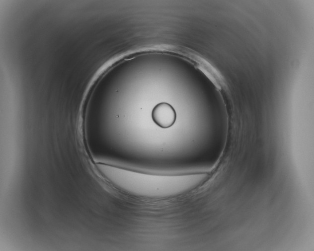 X0000111251332200907021423