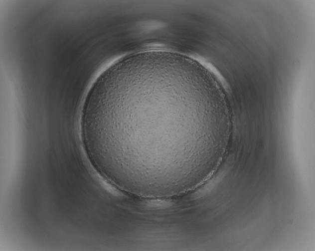X0000111251333200907021423