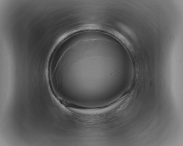 X0000111251334200907021423