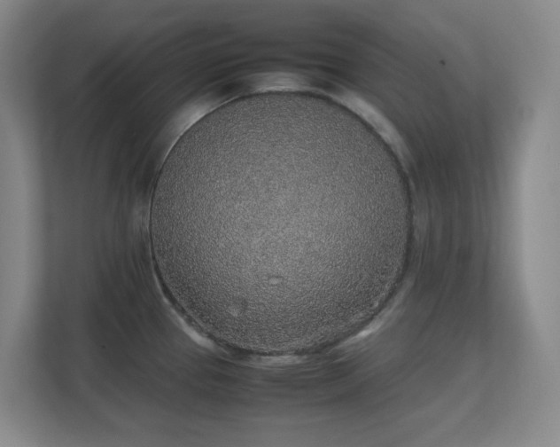 X0000111251337200907021423