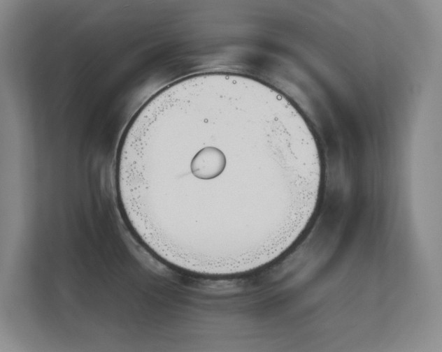 X0000111251338200907021423