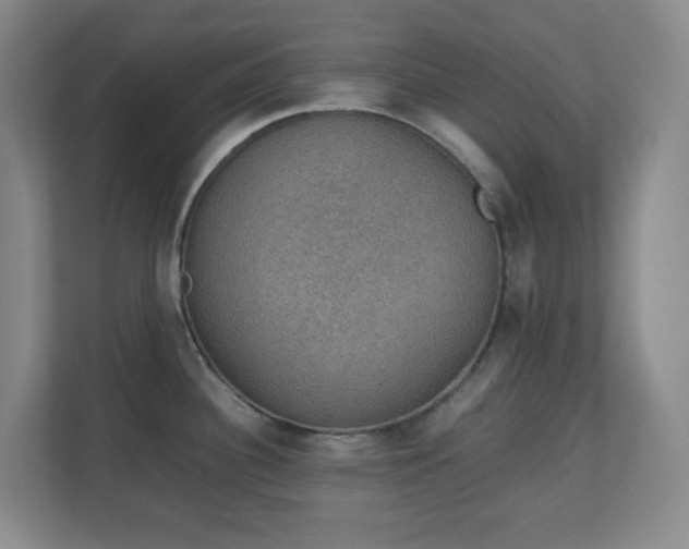 X0000111251340200907021423