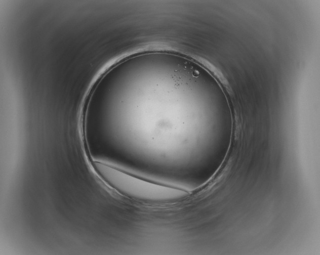 X0000111251342200907021423