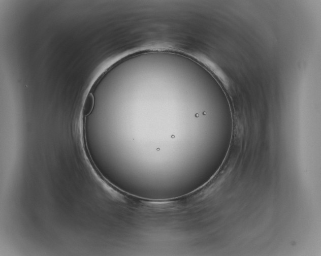 X0000111251343200907021423