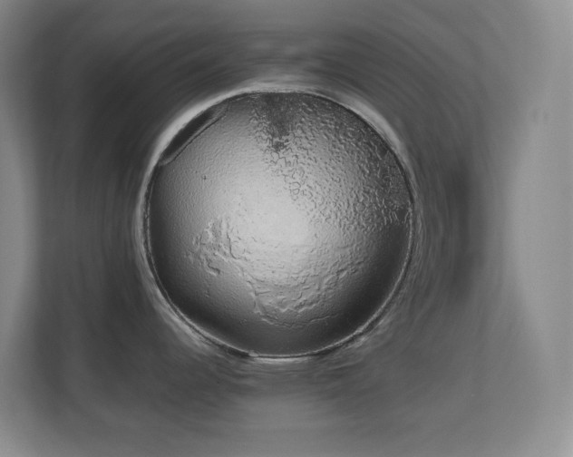 X0000111251344200907021424