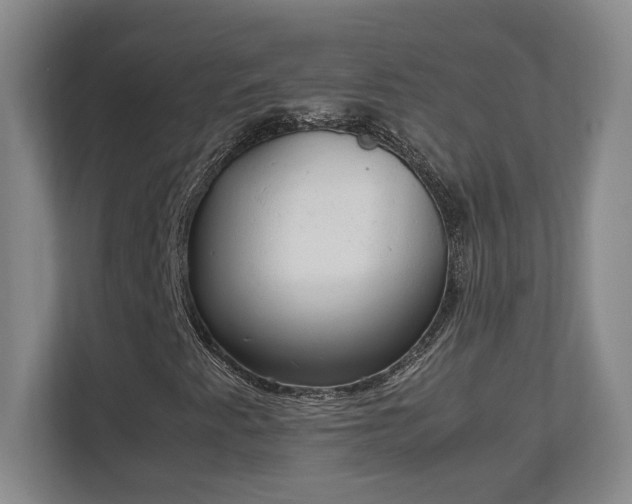 X0000111251345200907021423