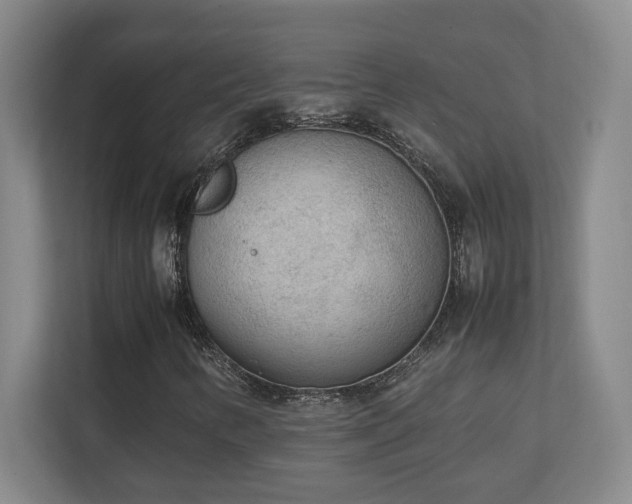 X0000111251346200907021423