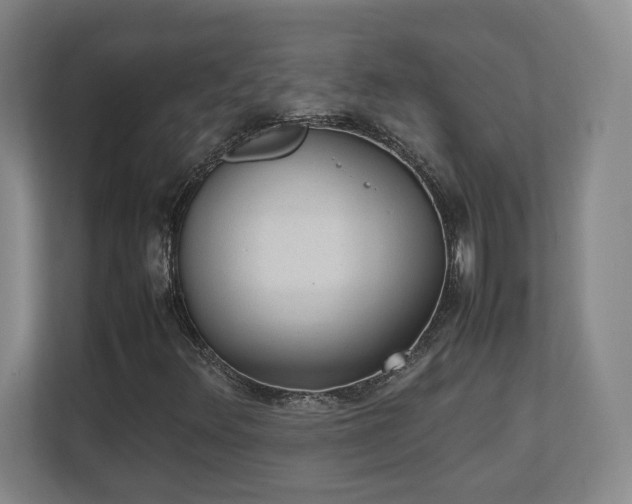 X0000111251348200907021423