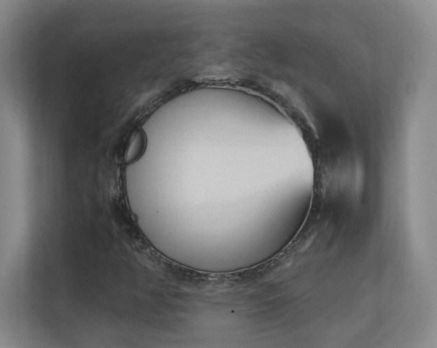 X0000111251350200907021423