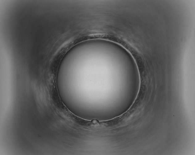 X0000111251351200907021423