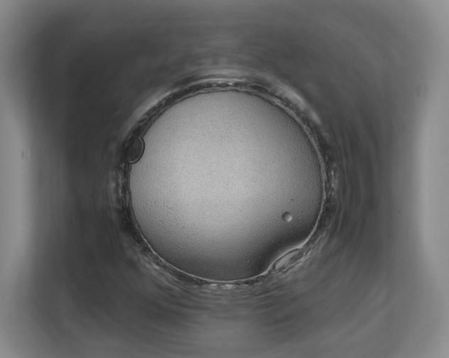X0000111251352200907021423