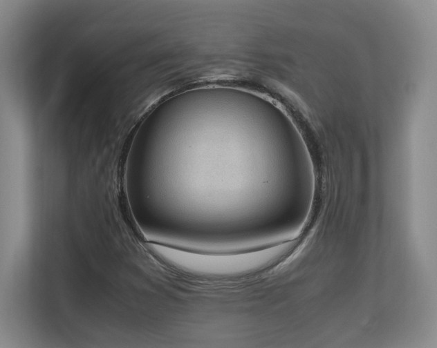 X0000111251353200907021423