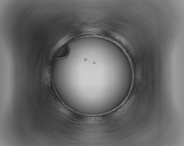 X0000111251354200907021423