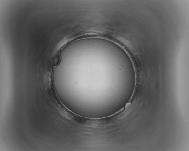 X0000111251355200907021423