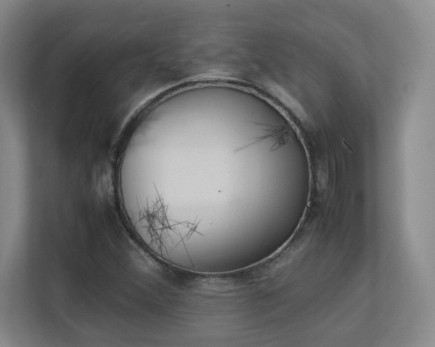 X0000111251356200907021423