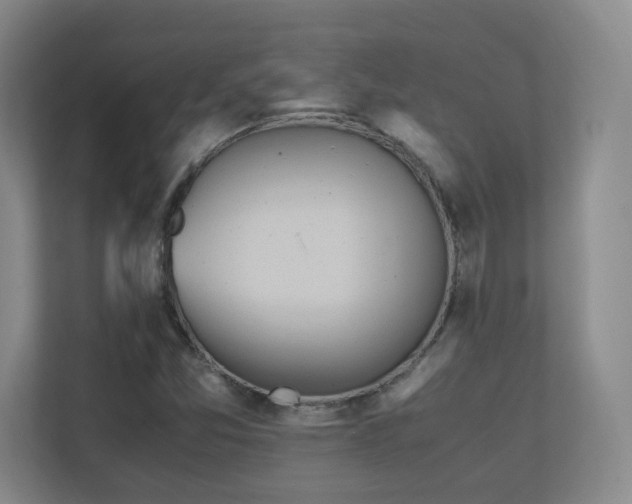 X0000111251357200907021423