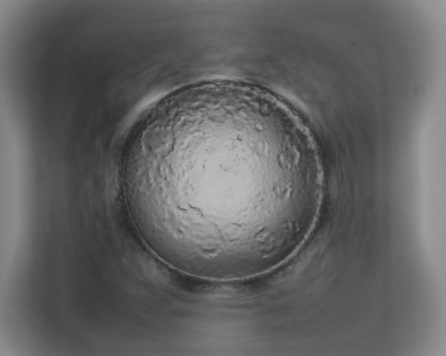 X0000111251359200907021423
