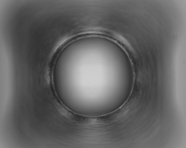X0000111251360200907021423