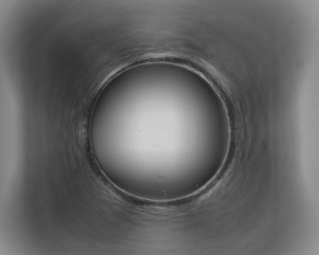 X0000111251361200907021423