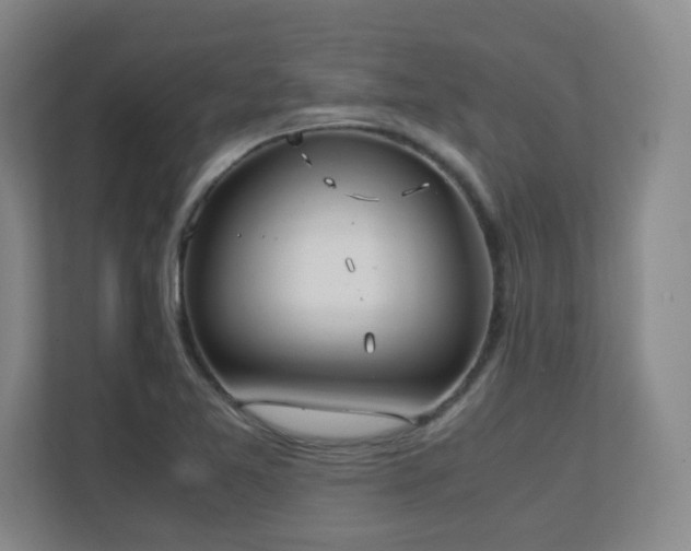 X0000111251365200907021423