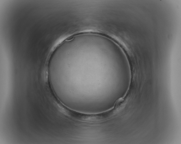X0000111251367200907021423