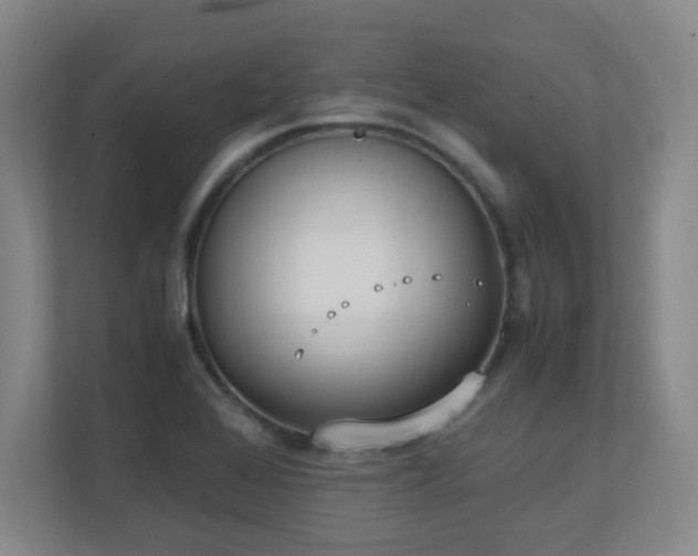 X0000111251368200907021423
