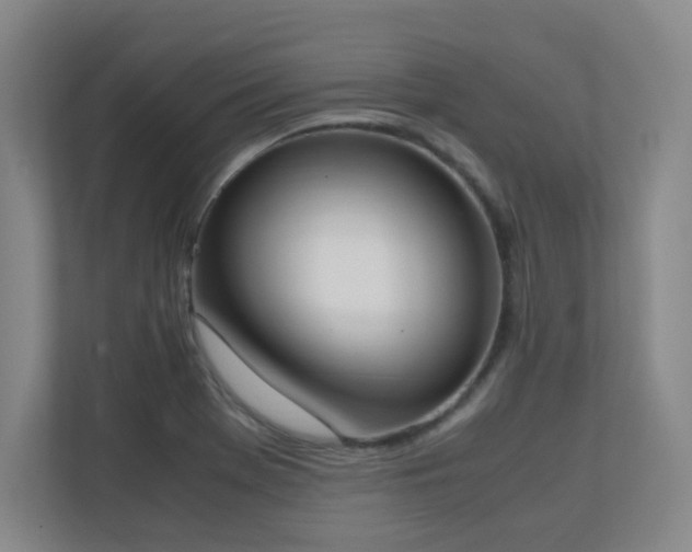 X0000111251369200907021423