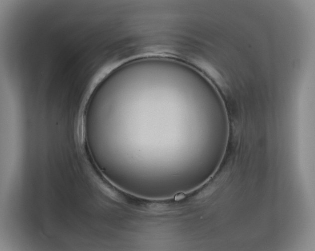 X0000111251371200907021423