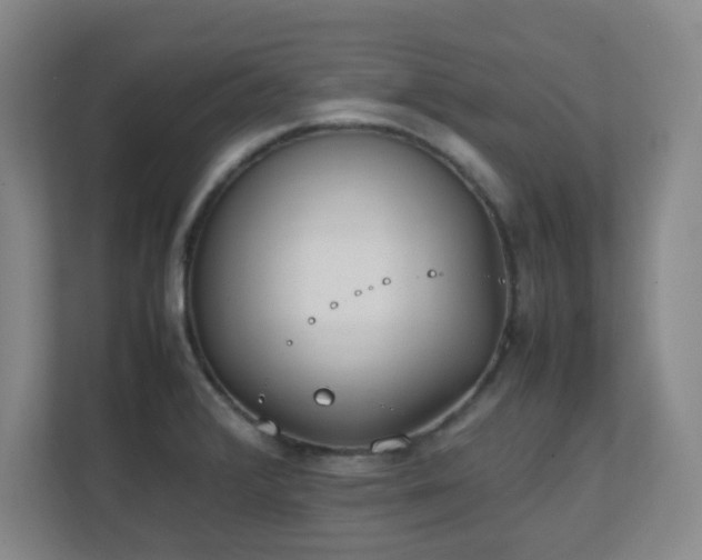 X0000111251376200907021422