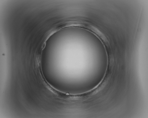 X0000111251377200907021422