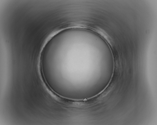 X0000111251379200907021422