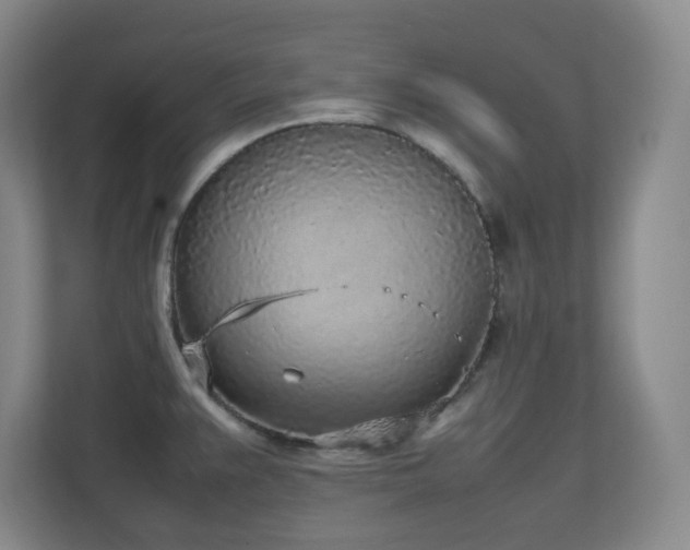 X0000111251383200907021422