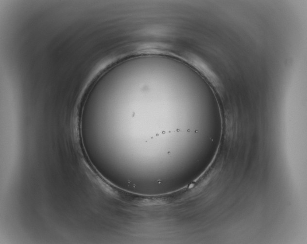 X0000111251384200907021422