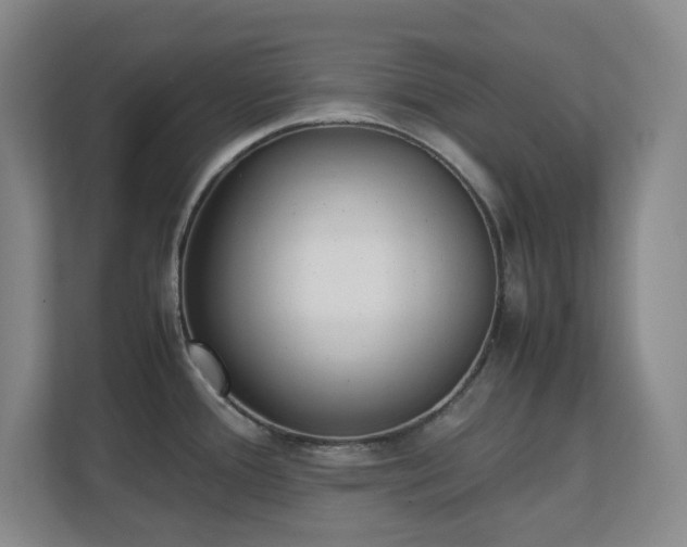 X0000111251388200907021422