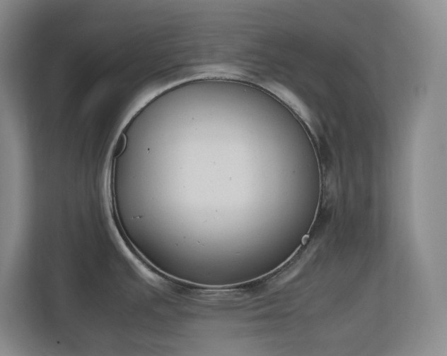 X0000111251391200907021422